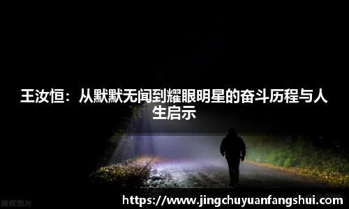 王汝恒：从默默无闻到耀眼明星的奋斗历程与人生启示